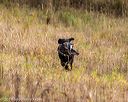 20191013-wcl-0138