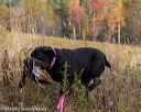 20191013-wcl-0153