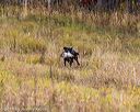 20191013-wcl-0163