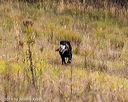 20191013-wcl-0164