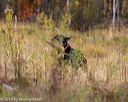 20191013-wcl-0193