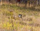 20191013-wcl-0234