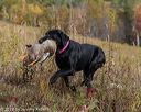 20191013-wcl-0247