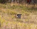 20191013-wcl-0257