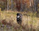 20191013-wcl-0260