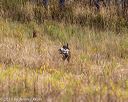 20191013-wcl-0281
