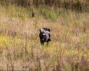 20191013-wcl-0285