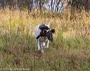 20191013-wcl-0350