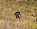 20191013-wcl-0383