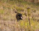 20191013-wcl-0386