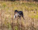 20191013-wcl-0393