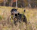 20191013-wcl-0399