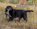 20191013-wcl-0416
