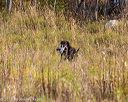 20191013-wcl-0420