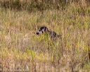 20191013-wcl-0423