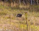 20191013-wcl-0448