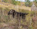 20191013-wcl-0464