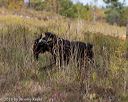 20191013-wcl-0465