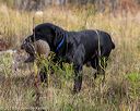 20191013-wcl-1012