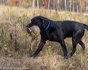 20191013-wcl-1015