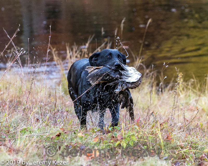 20191013-wcxw-0014.jpg