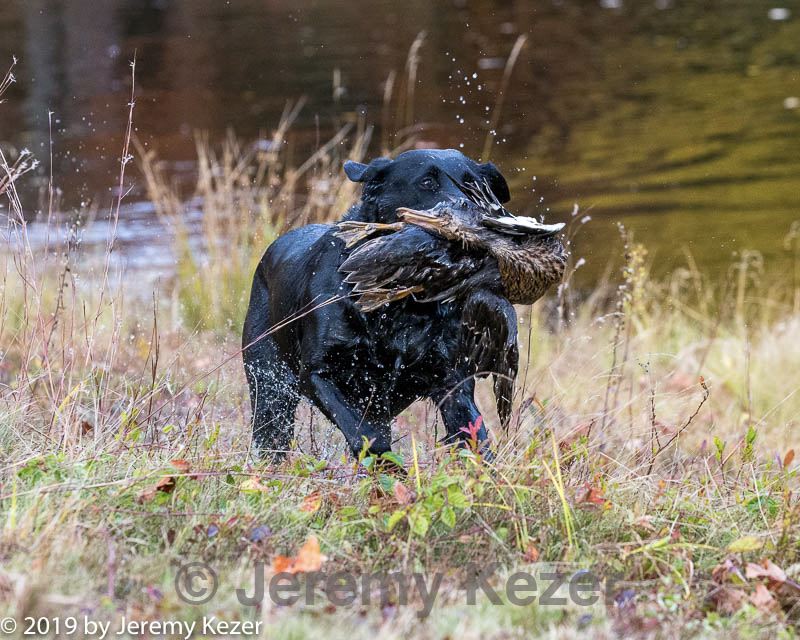 20191013-wcxw-0015.jpg