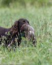 20200808-jhl-0068