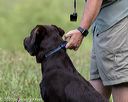 20200808-jhl-0079
