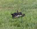 20200808-jhl-0081