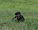 20200808-jhl-0121