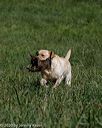 20200808-jhl-0265
