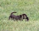 20200808-jhl-0341