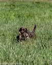 20200808-jhl-0353