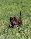 20200808-jhl-0355