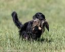 20200808-jhl-0369