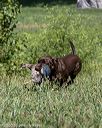 20200808-jhl-0644