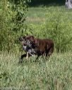 20200808-jhl-0645
