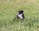 20200808-jhl-0665