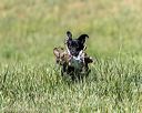 20200808-jhl-0667