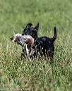20200808-jhl-0691