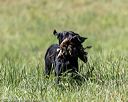 20200808-jhl-1021