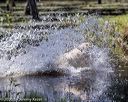 20200808-jhw-0044