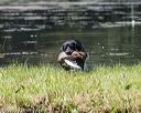 20200808-jhw-0188