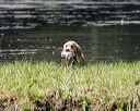 20200808-jhw-0589