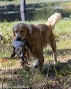 20200808-jhw-0598