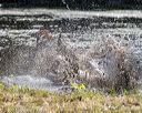 20200808-jhw-0794