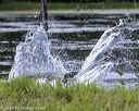 20200808-jhw-1035