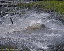 20200808-jhw-1221