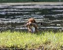 20200808-jhw-1480