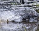 20200808-jhw-1658
